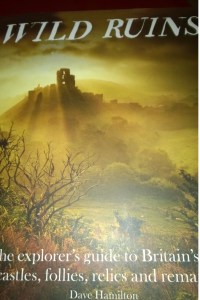 book review Wild Ruins