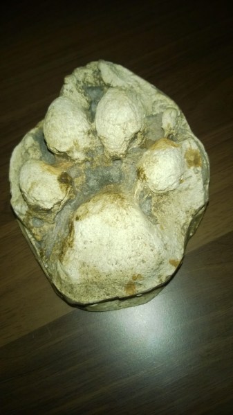 WP_20160207_20_50_14_Pro