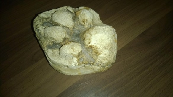 WP_20160207_20_50_23_Pro