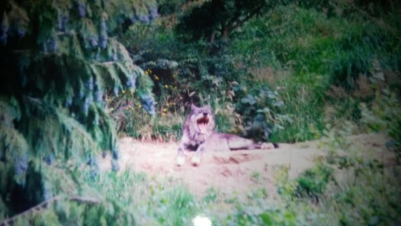 WP_20160221_18_29_08_Pro