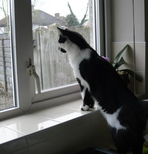 2016-02-10 10.30.54 (2)