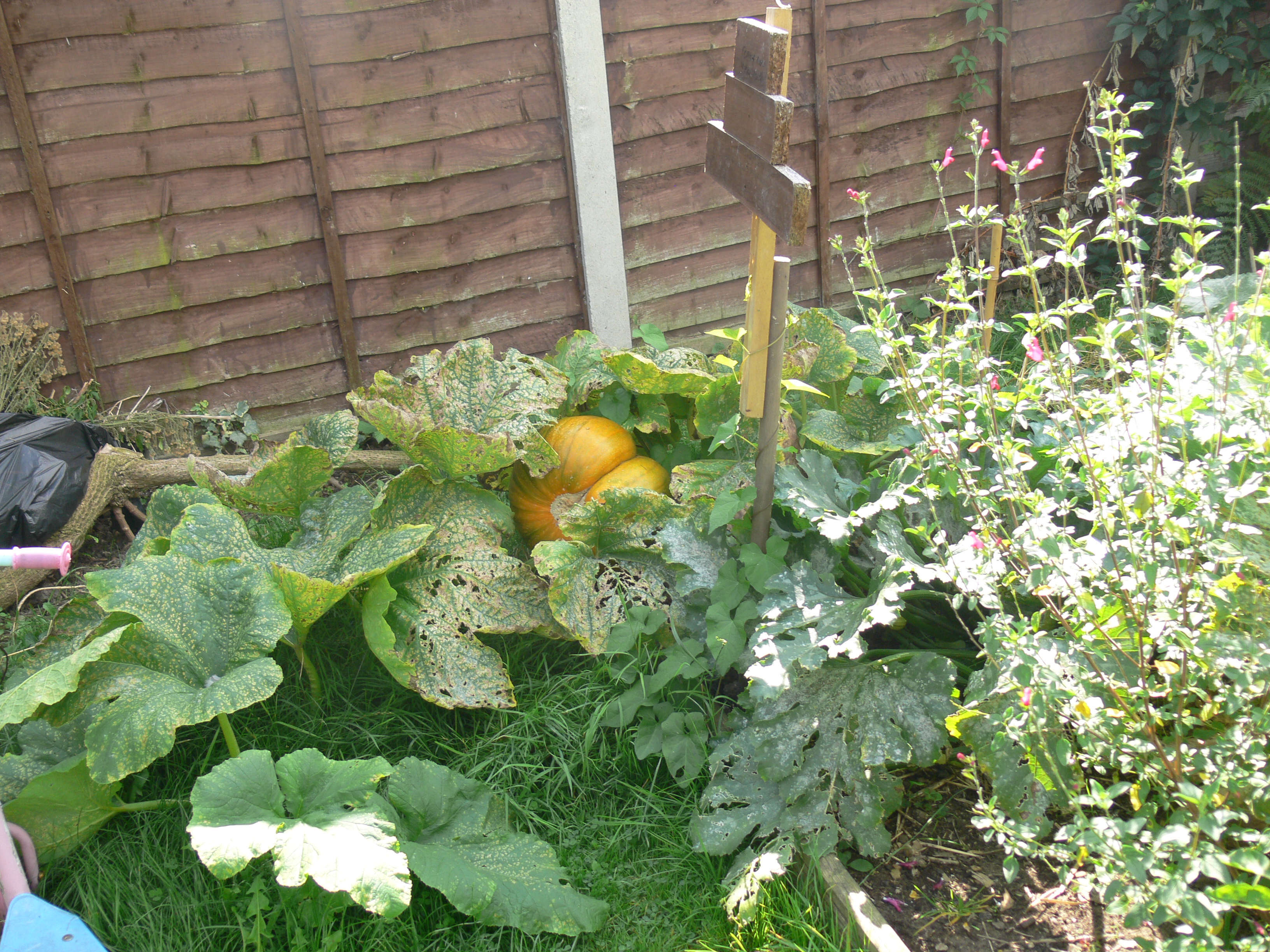 aug to dec 2012 photos 076