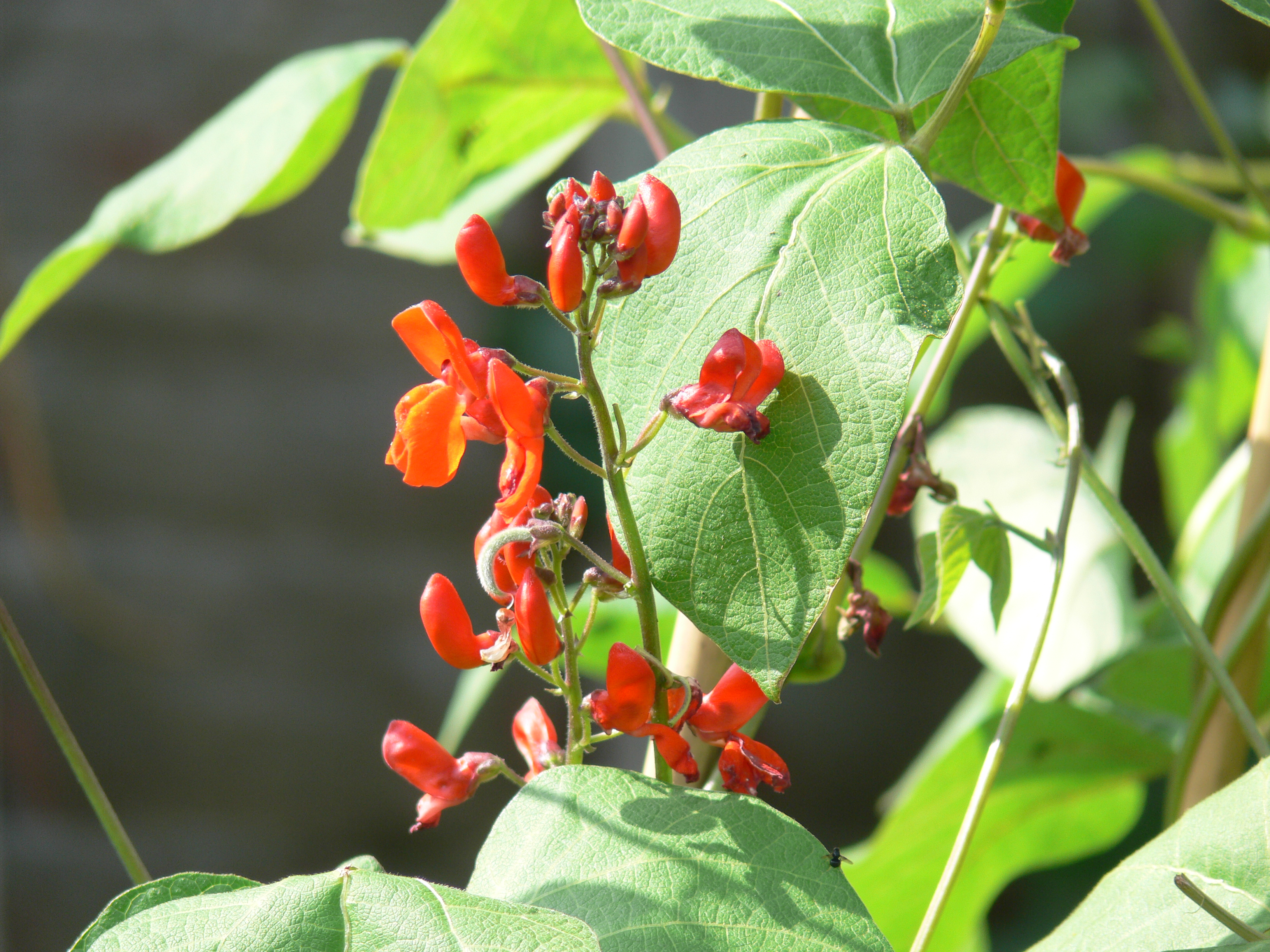 photos apr to july 2012 065