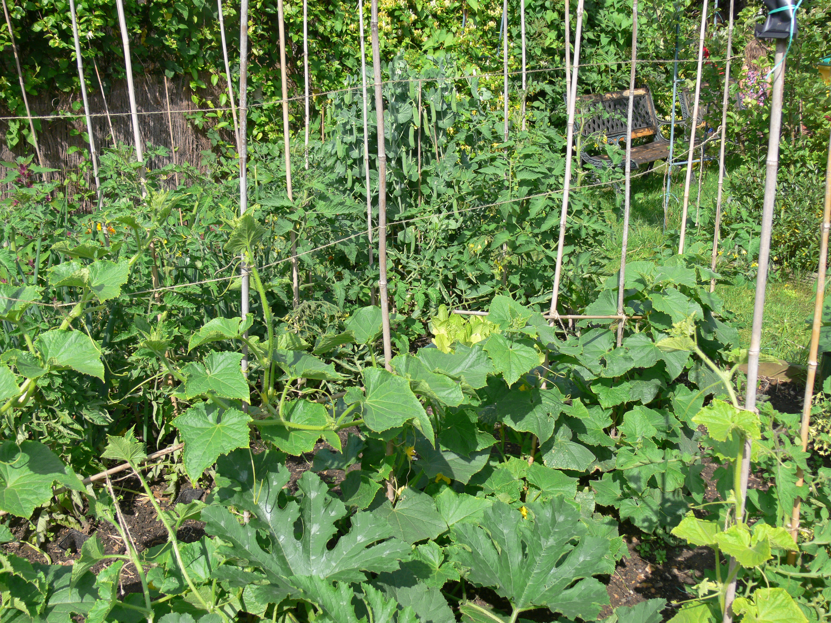 photos apr to july 2012 067