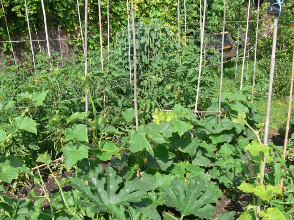 photos apr to july 2012 067