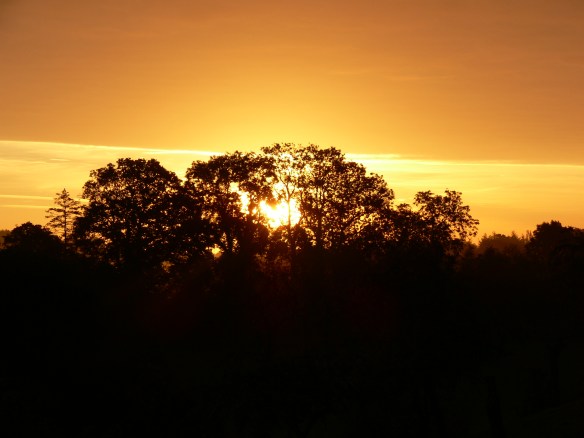 pitlands holiday 103