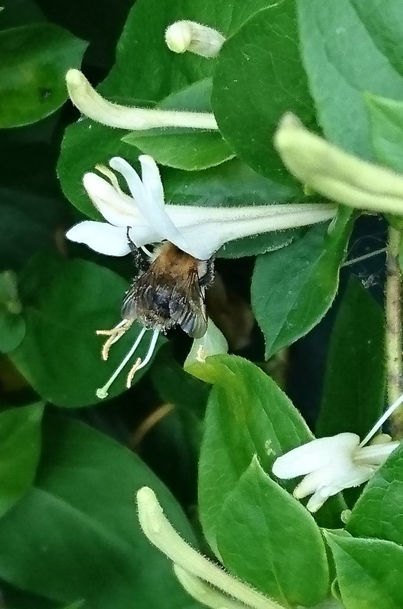 2016-06-17 13.14.59 (2)