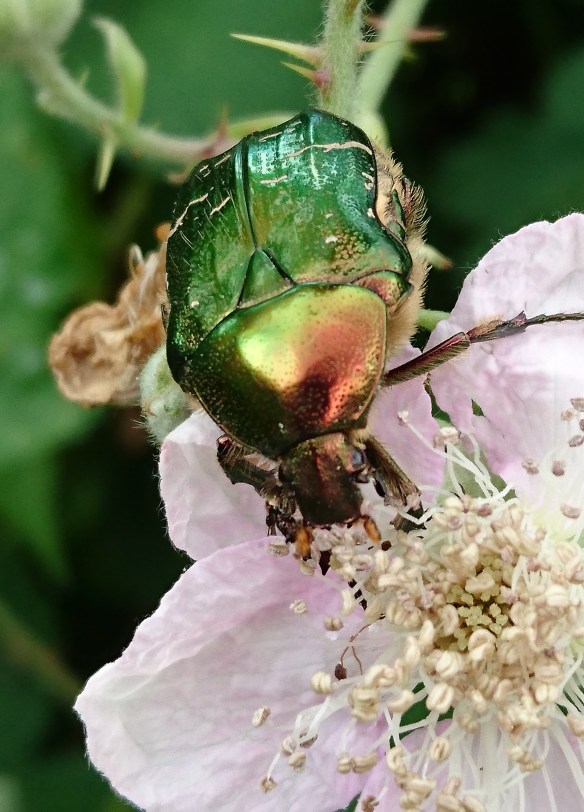 2016-06-17 13.21.12 (2)