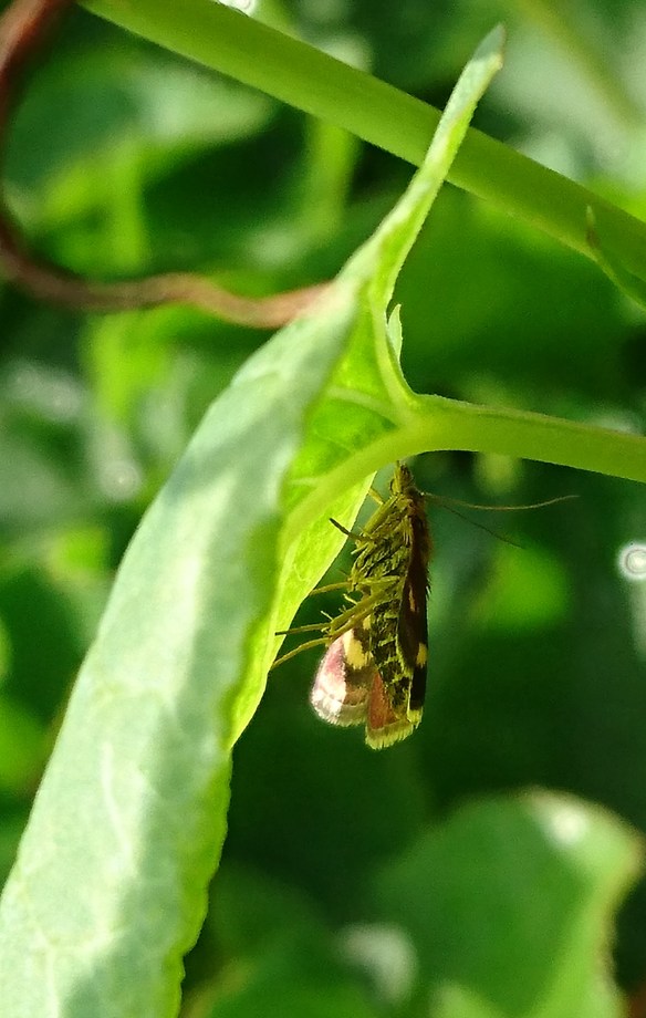 2016-06-17 15.59.58 (2)