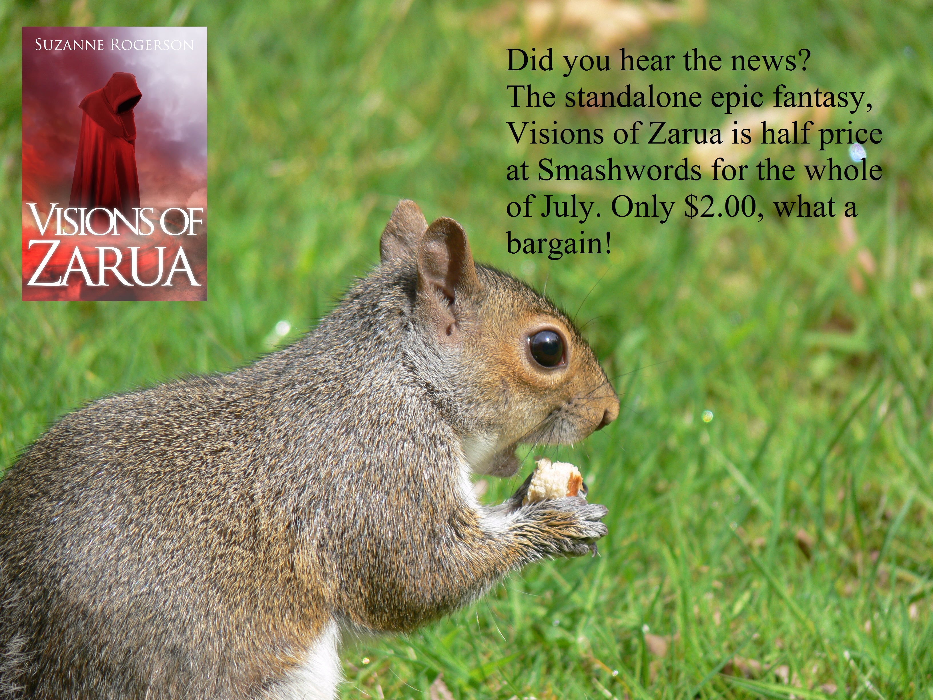 squrriel sees a good deal