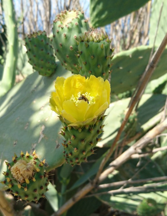 2016-07-31 11.04.39 (2)