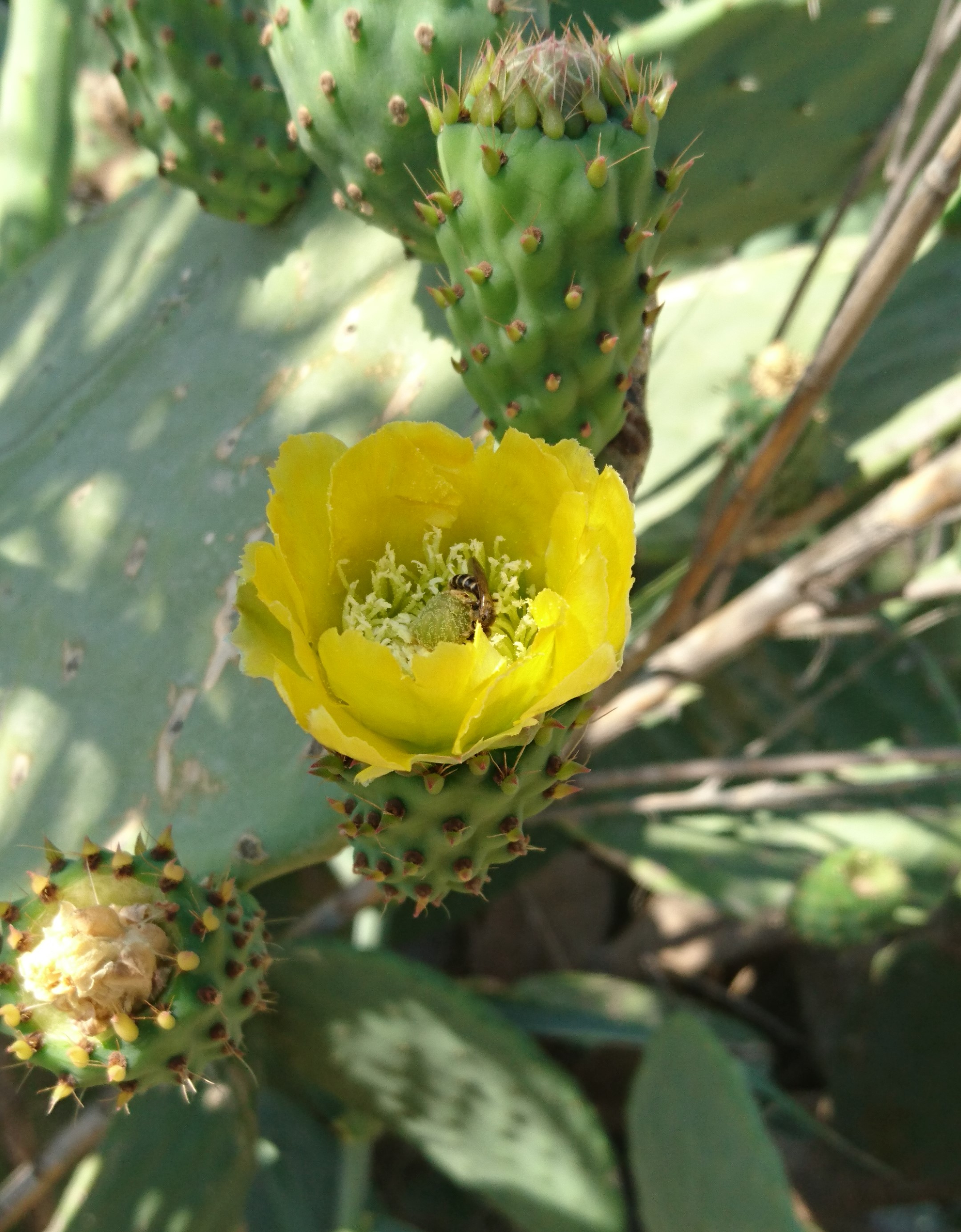 2016-07-31 11.04.46 (2)