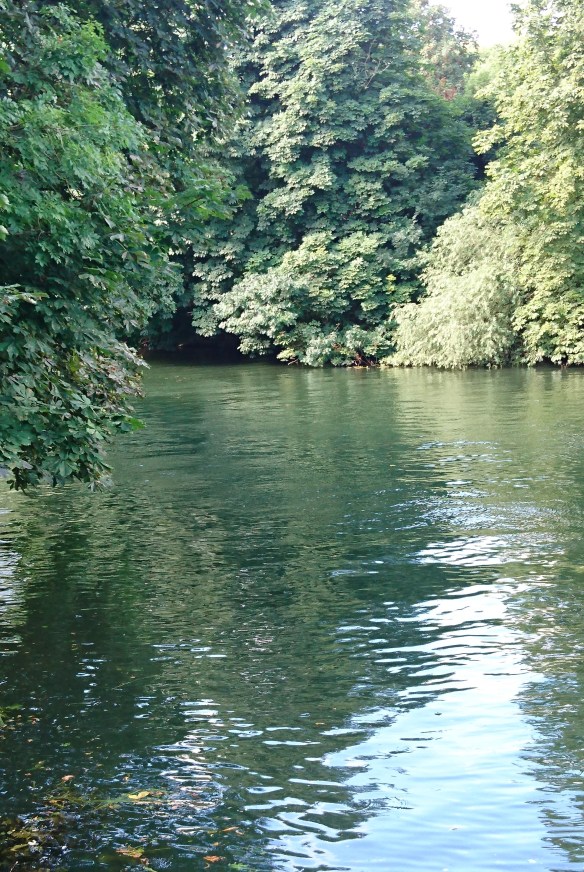 2016-08-07 15.41.50 (2)