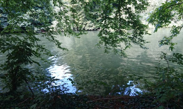 2016-08-07 15.54.32 (2)