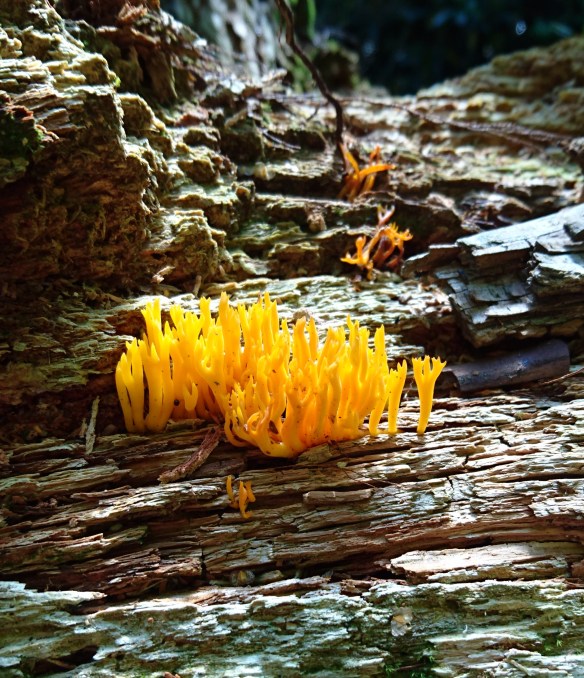 2016-09-01-12-11-11-2