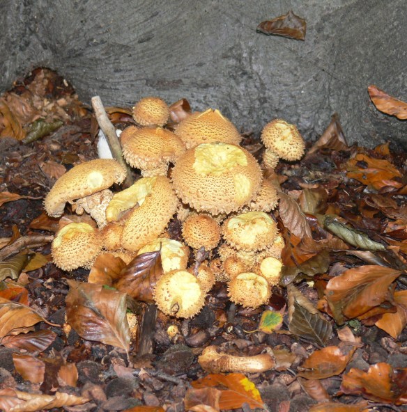 aug-to-dec-2012-photos-130-2