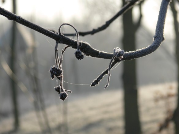 photos-jan-to-mar-2012-006