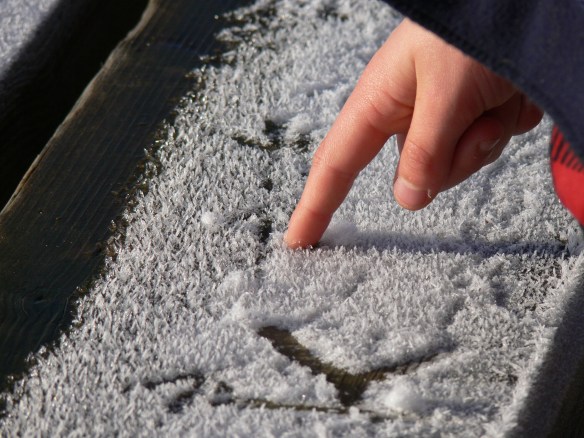 photos-jan-to-mar-2012-082