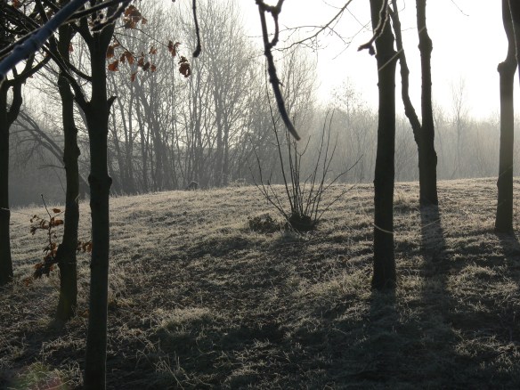 photos-jan-to-mar-2012-005