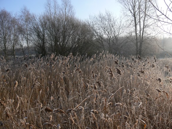 photos-jan-to-mar-2012-030