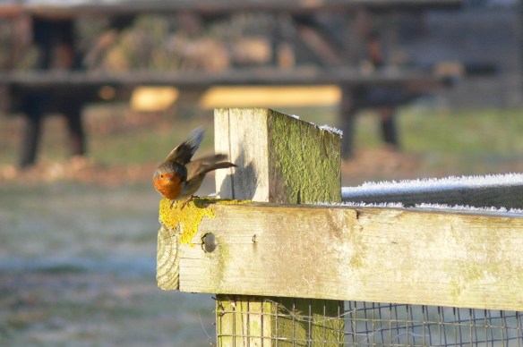 photos-jan-to-mar-2012-035-2