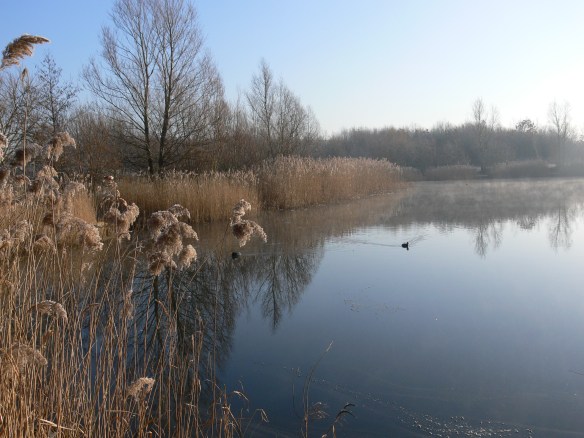 photos-jan-to-mar-2012-047