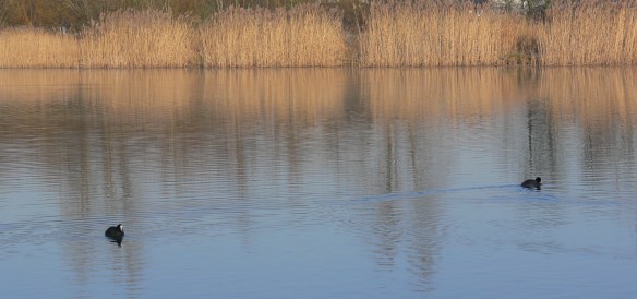 photos-jan-to-mar-2012-064-2