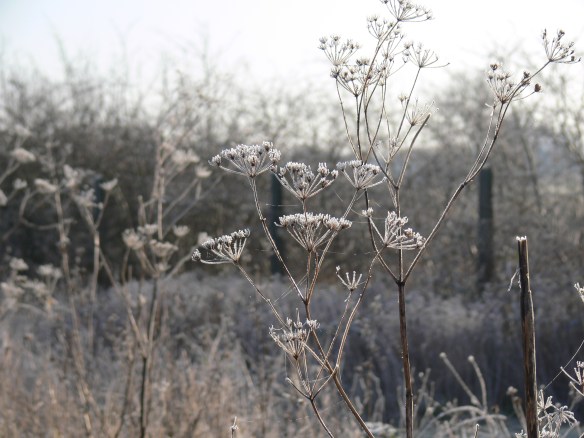 photos-jan-to-mar-2012-067