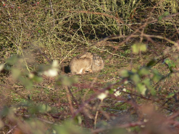 photos-jan-to-mar-2012-097