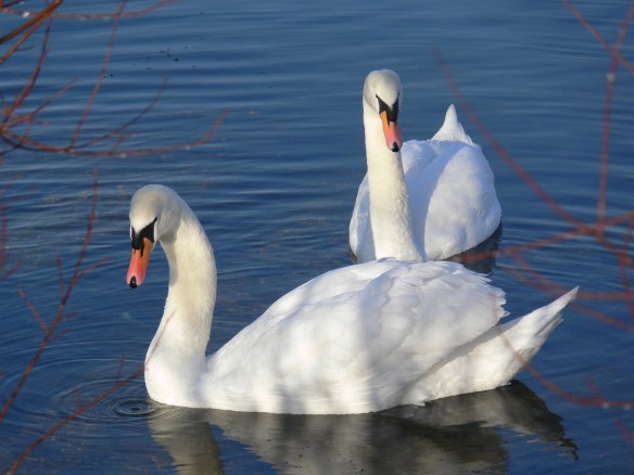 photos-jan-to-mar-2012-107