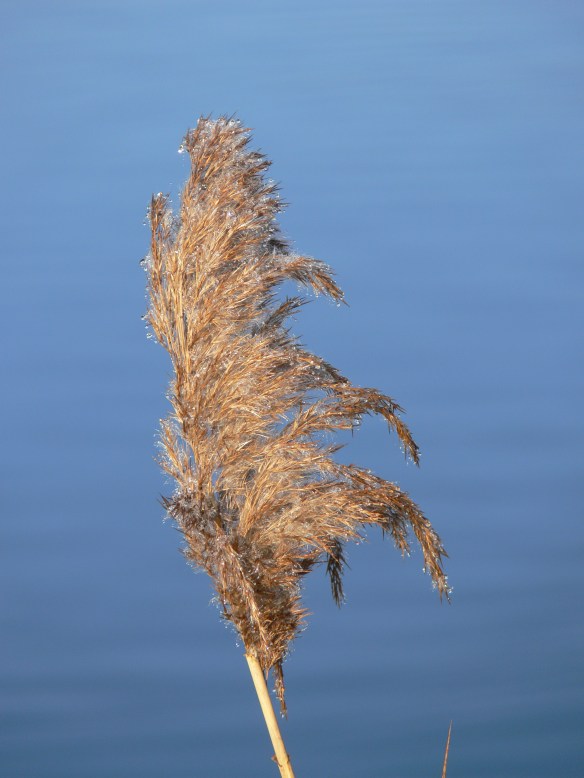 photos-jan-to-mar-2012-109