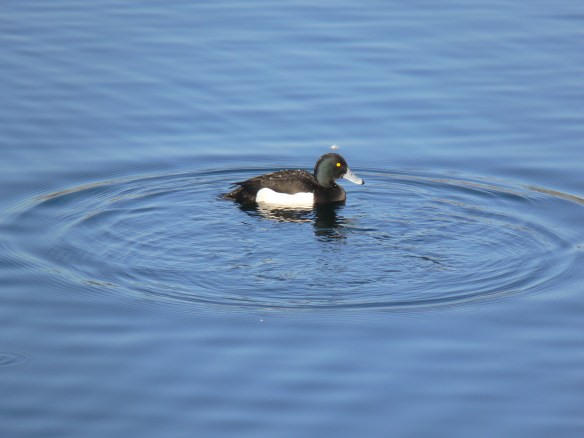 photos-jan-to-mar-2012-110