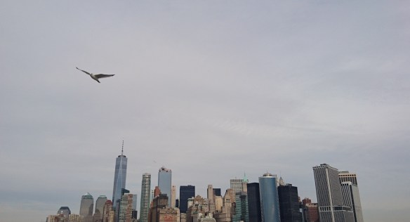 2017-02-11-18-07-40-2