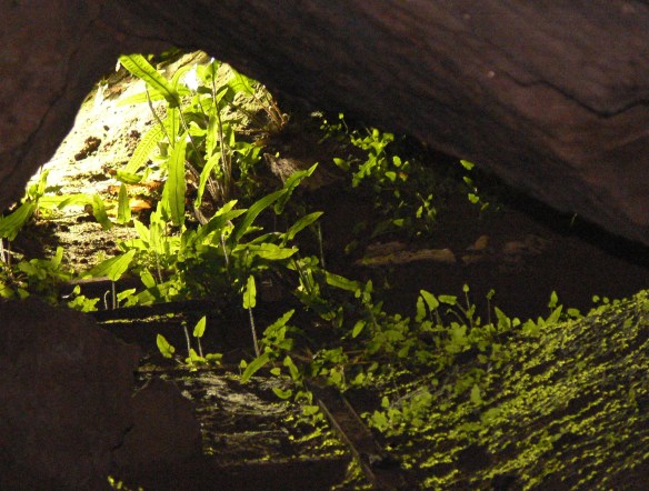 2017-05-19 11.12.51 (2)