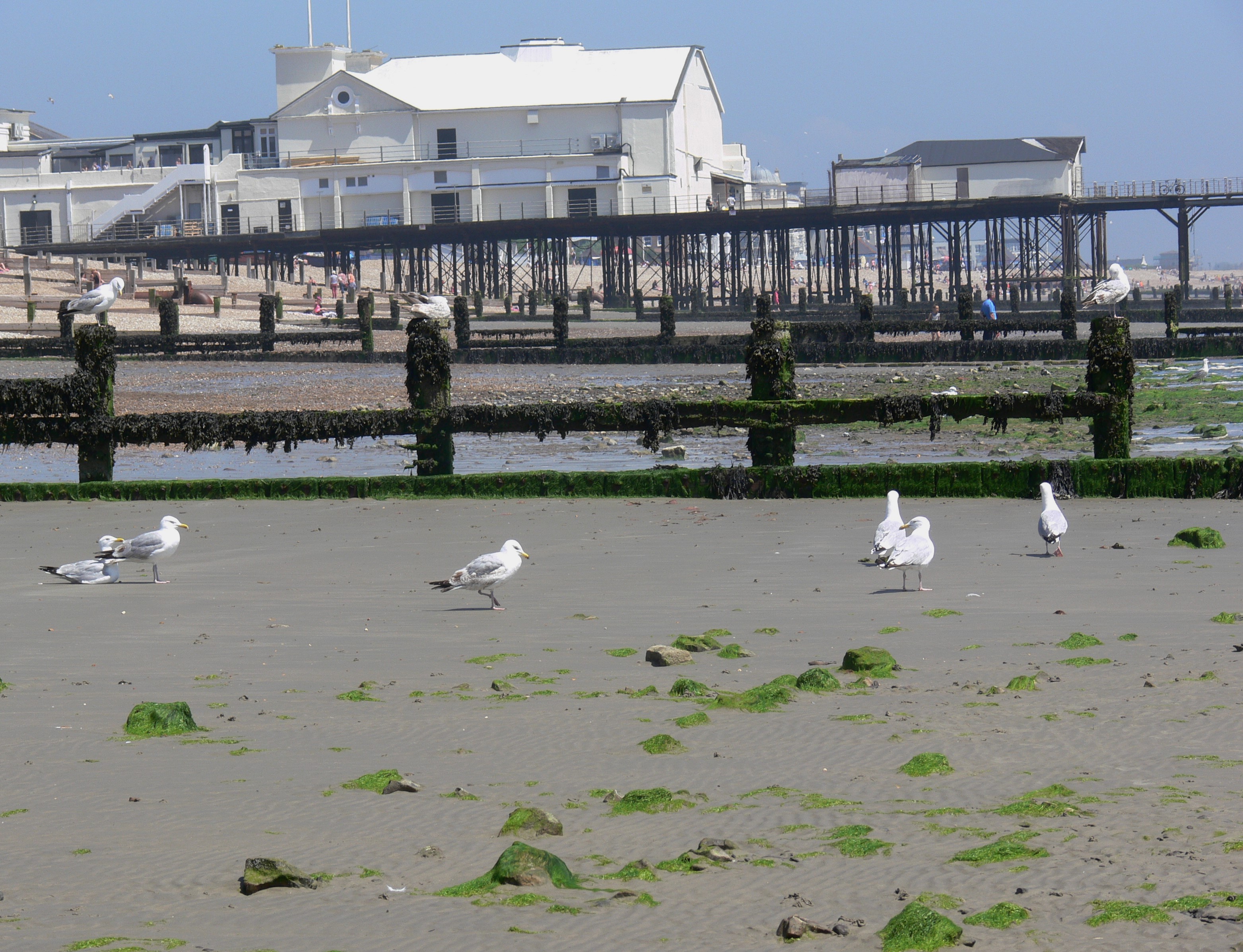 2017-06-01 13.46.44 (2)