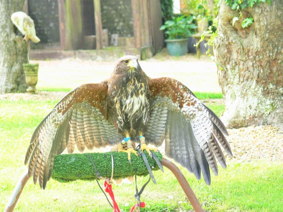 2017-06-02 12.01.57 (2)