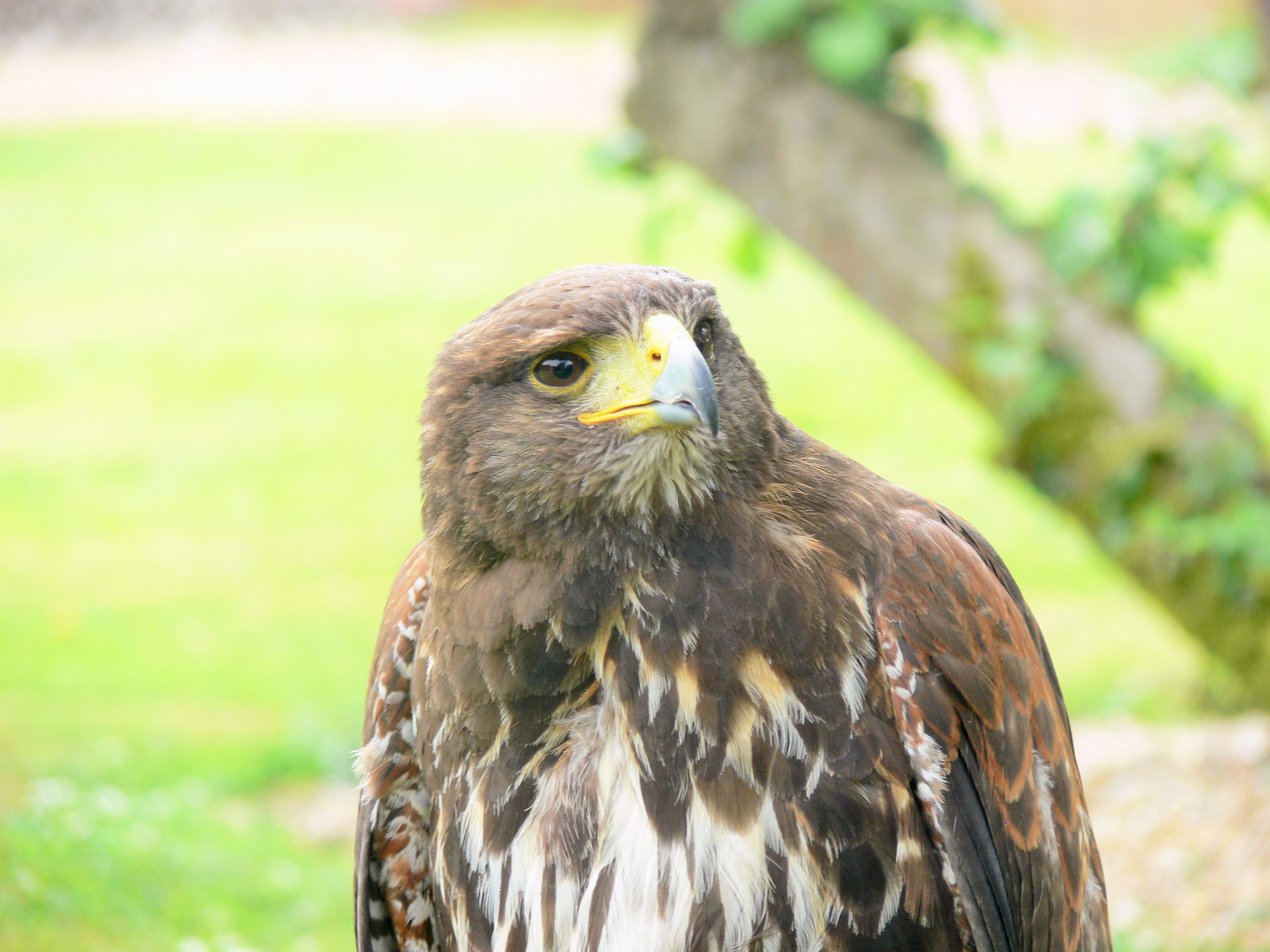 2017-06-02 12.05.42 (2)