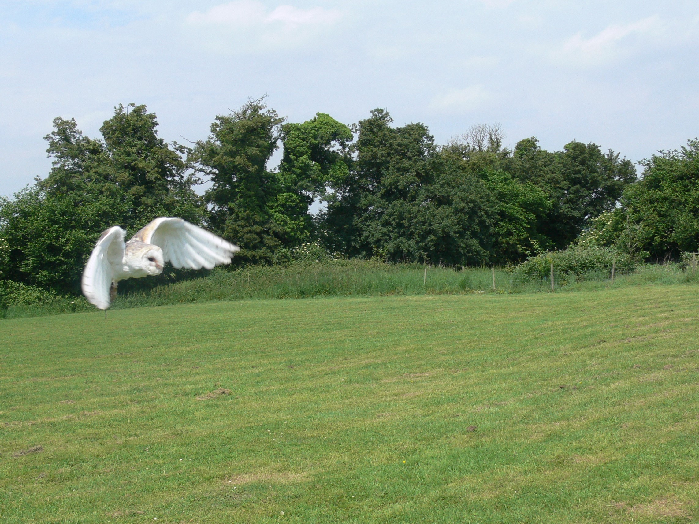 2017-06-02 12.54.26 (2)