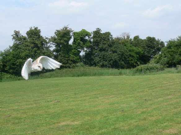 2017-06-02 12.54.26 (2)