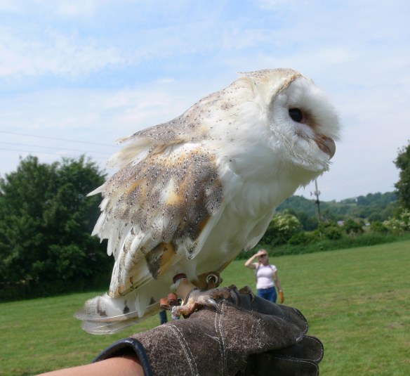 2017-06-02 12.57.18 (2)