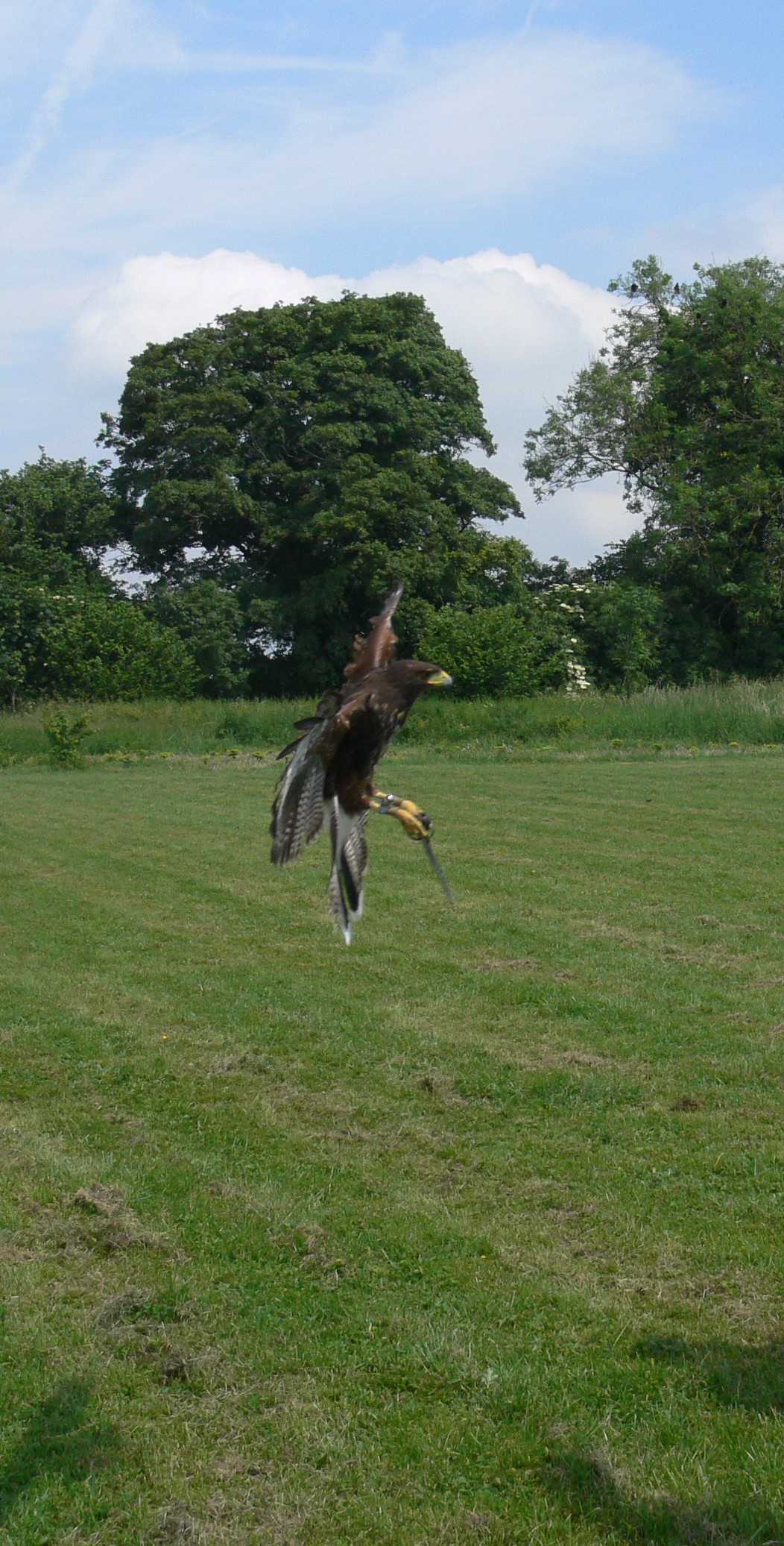 2017-06-02 13.08.59 (2)