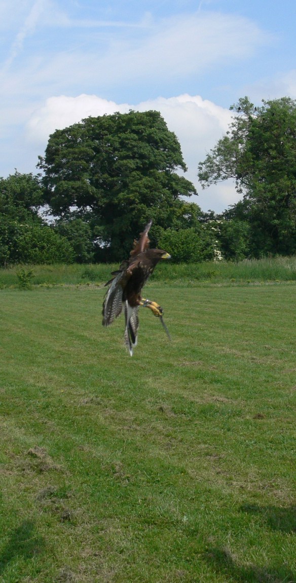 2017-06-02 13.08.59 (2)