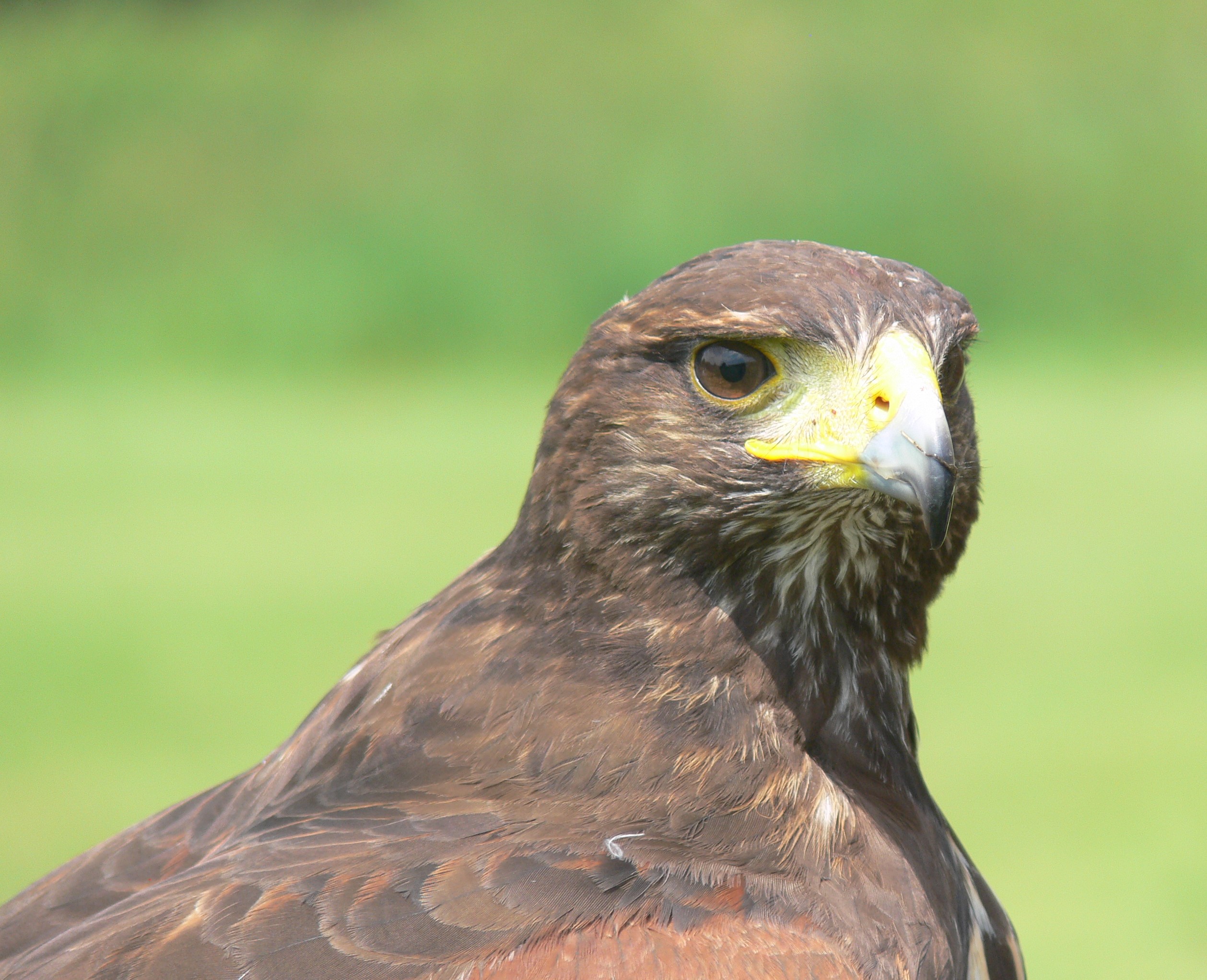 2017-06-02 13.13.26 (2)