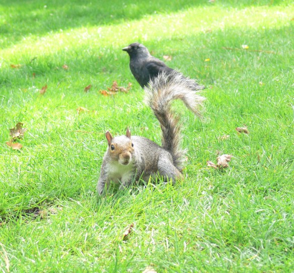 2017-08-24 12.37.24 (2)