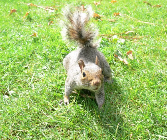 2017-08-24 12.39.16 (2)