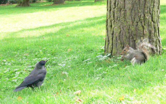 2017-08-24 12.41.49 (2)