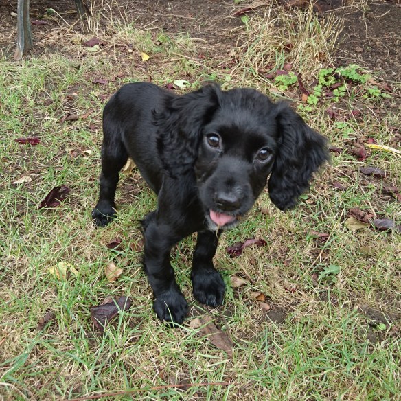 IMG_20190927_134324_342