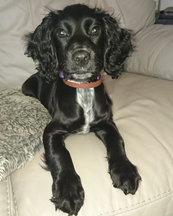 IMG_20191013_170349_615