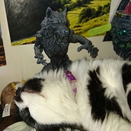 2016-07-09 21.27.27-1